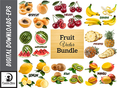 FRUIT VECTOR DESIGN BUNDLE fruits graphic design vector