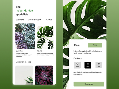 plants 3d animation graphic design motion graphics ui