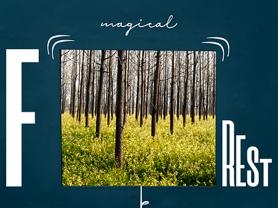 Magical Forest - Poster Design a4 poster collage composition forest graphic design mockup poster design posters print media typography typography poster