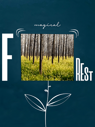 Magical Forest - Poster Design a4 poster collage composition forest graphic design mockup poster design posters print media typography typography poster
