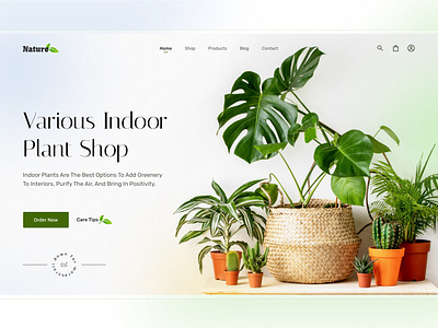 Plant Website design designtips figma shafinkhan shaifnkhanuix ui uidesign uiuxdesigner userexperience userinterface ux uxdesign uxdesigner uxprocess uxui uxuidesign webdesign webdesigner website websitedesign