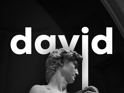 David david michelangelo photography statue