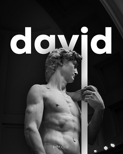 David david michelangelo photography statue