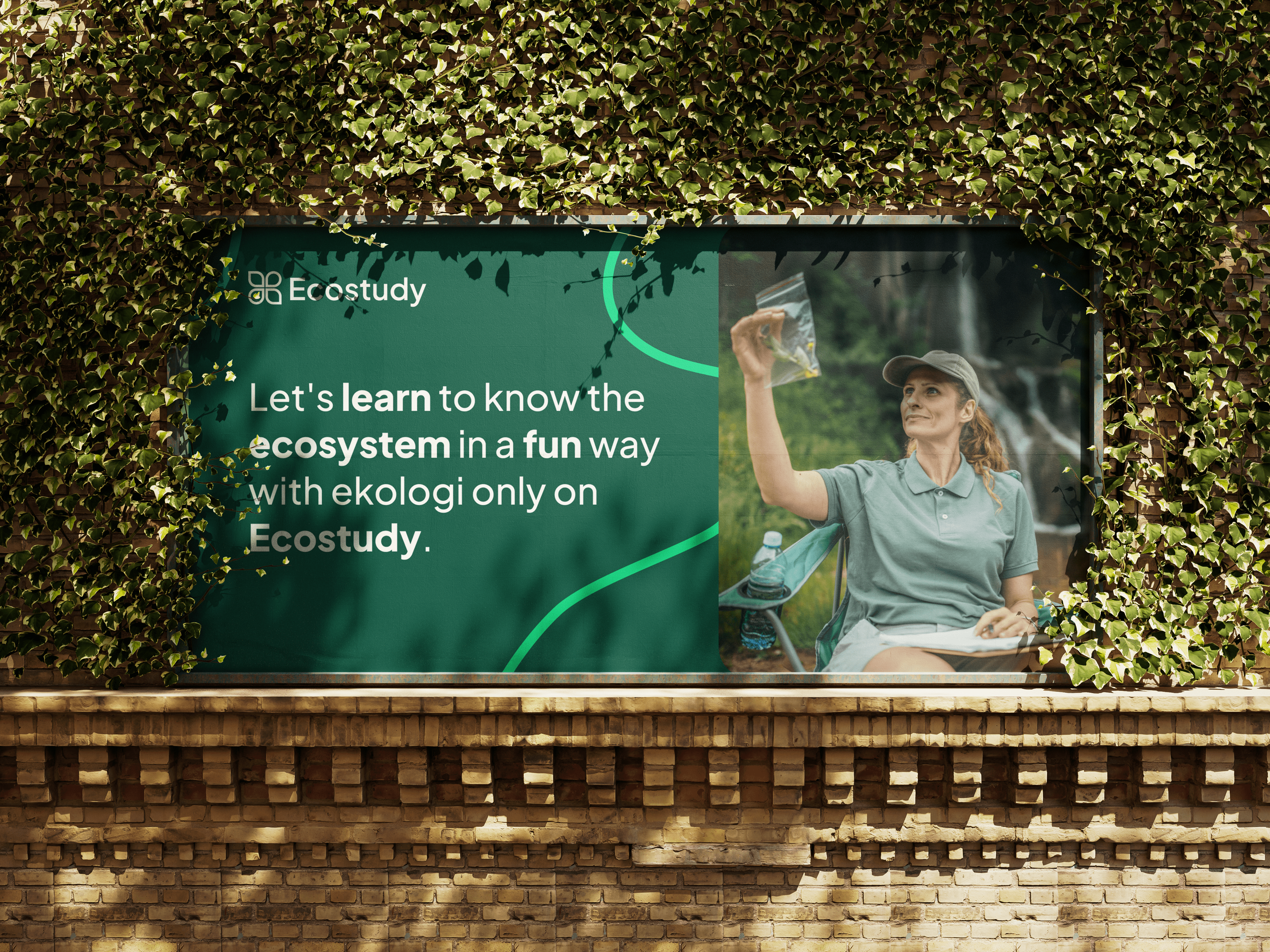 Ecostudy - Ecosystem Learning Branding brand guidelines brand identity branding branding design branding education branding for learning design e learning education graphic graphic design green learning platform logo logo concept logo design online school social media post visual identity