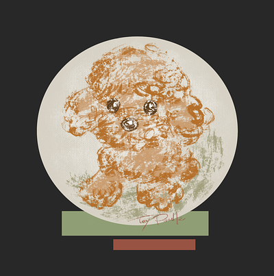 Brush sketch of a poodle animal dog illustration pet puppy toy poodle