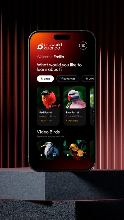 Birdworld - Mobile UI 3d animation graphic design logo motion graphics ui
