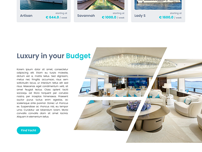 Yacht Rental Landing Page graphic design home page landing page ui ui design uiux web design web page