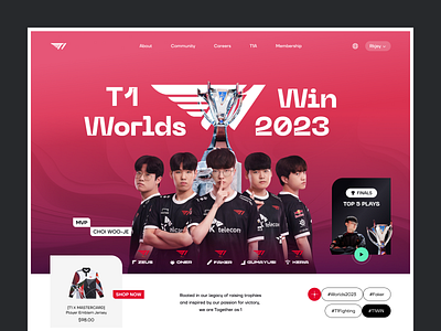 Online Gaming Platform designs, themes, templates and downloadable graphic  elements on Dribbble