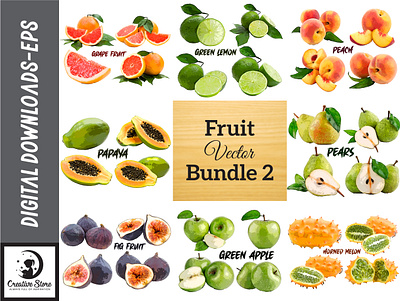 FRUIT VECTOR DESIGN BUNDLE 2 fruits graphic design vector