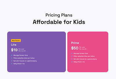 Pricing Plan design ui
