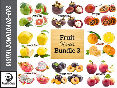 FRUIT VECTOR DESIGN BUNDLE 3 fruit graphic design vector
