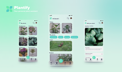 Plantify | Your personal plant assistant branding design mobile prototype ui ux