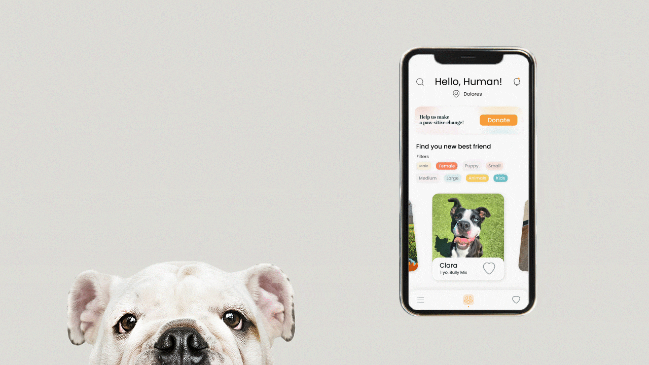 Dog Adoption App - Home Transition adoption animation app carousel design dog figma filters framework homescreen logo microinteractions motion graphics orange photo gallery screen transitions ui ux visual design