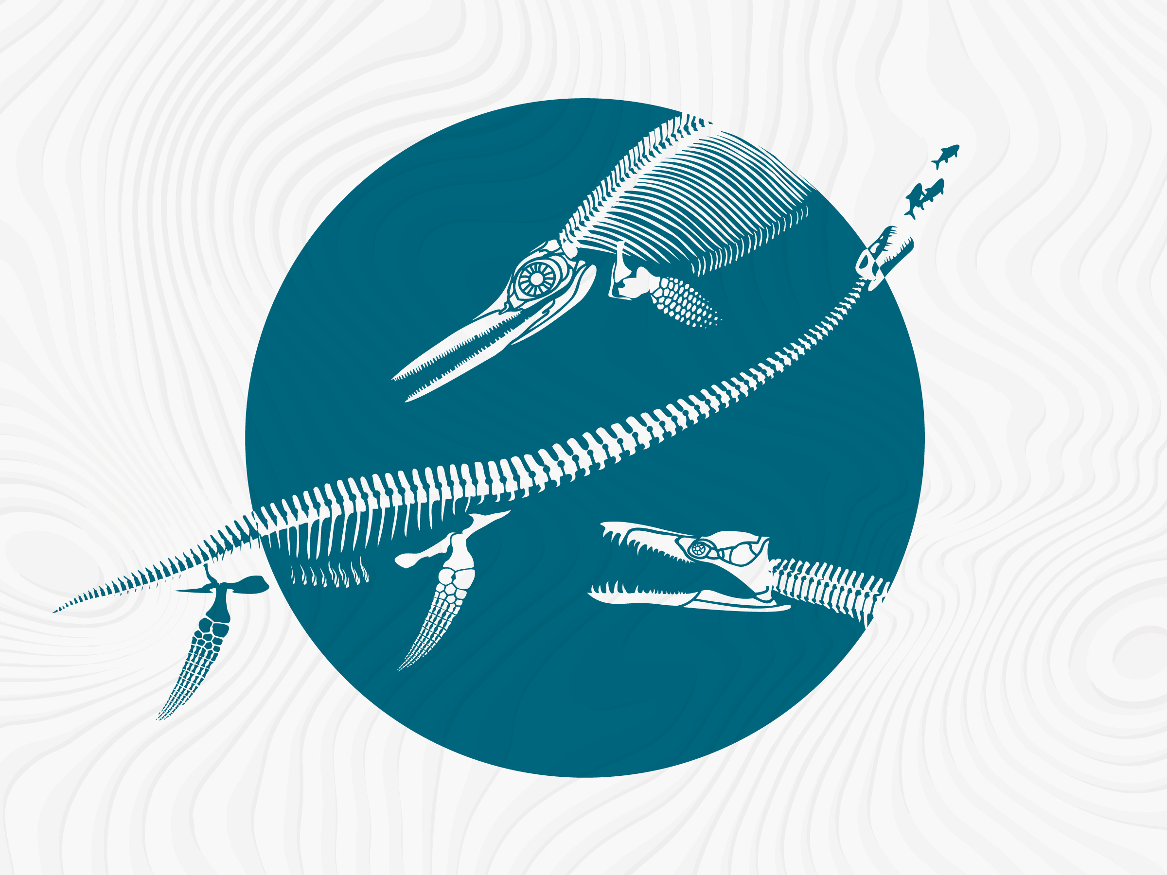 Animation of The Paleontology Museum aftereffect blue brand design branding corporate branding corporate identity design dino dinosaur graphic design illustration logo logo reveal motion motion graphics museum paleontology