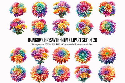 Rainbow Chrysanthemum Clip Art chrysanthemum clipart colourful floral flowers illustrations pngs rainbow