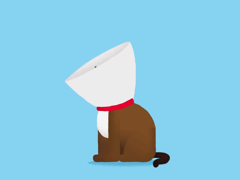 A vez se gana y otras se pierde… 🐕 animation character cute dog funny kawaii motiongraphics sabrizeta