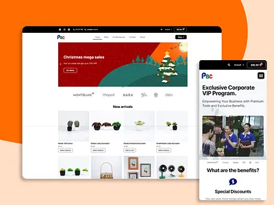 Ecommerce Web Design branding design ecommerce ui ux web web design