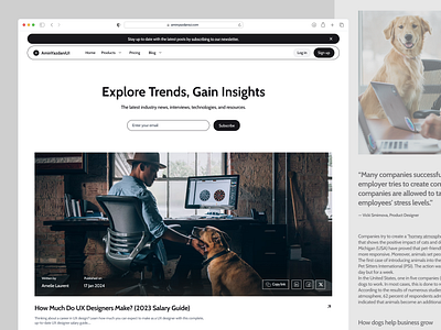 Blog Page Design graphic design ui
