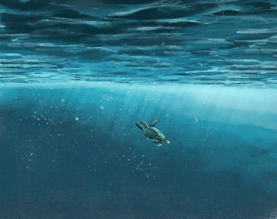 Motion of the Ocean illustration ocean sea swim turtiose turtle underwater