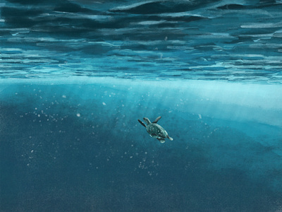 Motion of the Ocean illustration ocean sea swim turtiose turtle underwater