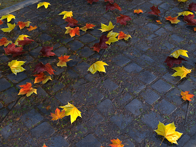 Pavement 3d 3dmodel autumn cinema4d design fall graphic design modeling render