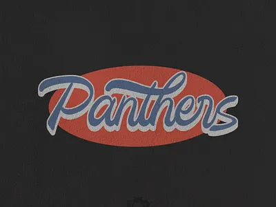 PANTHERS LETTERING branding classic design graphic design lettering logo typography vector