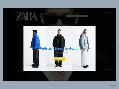 Pop-Up Overlay "ZARA Website" design fashion webstite figma figma design overlay pop up promotion web ui ui design ui designer ui explore ui ux design ui ux designer ux ux designer web design web designer website zara zara website