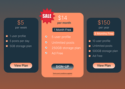 DailyUIchallenge Day30/100 Created a pricing plan UI ui