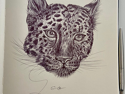 Ballpen Leopard 🐆 ballpen design drawing illustration sketch