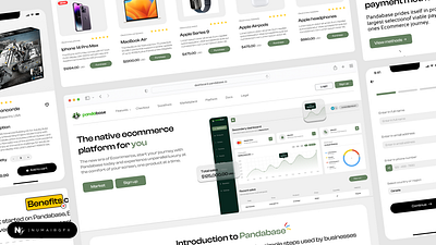 Pandabase website Design branding design designing ecommerce example figma figma design graphic design green site design inspiration interface modern photoshop site site design ui ui design white site design