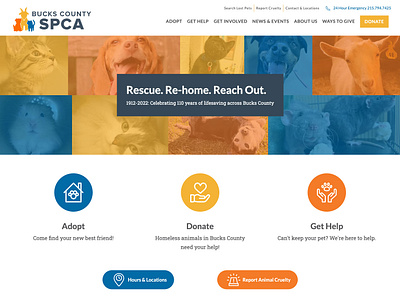 Bucks County SPCA Website & Logo Design branding logo design web design wordpress