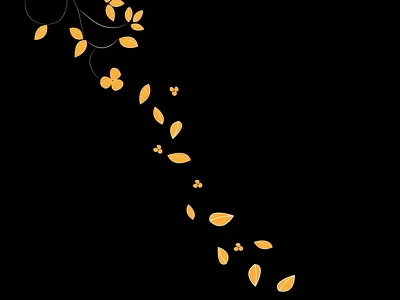 Elegant collection graphic design pattern