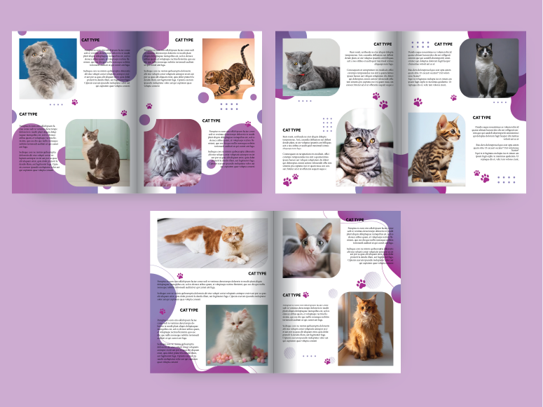Cat Catalog for Pet Clinic's Waiting Room by Veronicapt on Dribbble