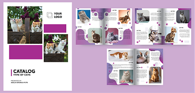 Cat Catalog for Pet Clinic's Waiting Room graphic design