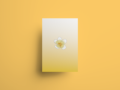 A white rose design flower graphic design illustration rose white