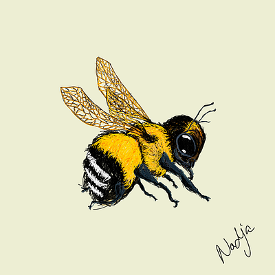 Bumblebee bumblebee design graphic design ill illustration vector