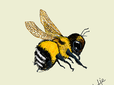 Bumblebee bumblebee design graphic design ill illustration vector