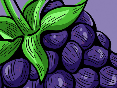 Blackberry Illustration antioxidant art berry blackberry branding digital drawing food fruit graphic healthy icon illustration label logo organic packaging purple