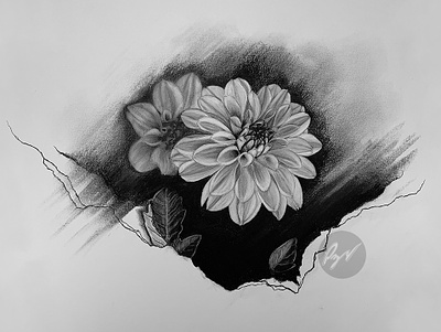 Charcoal drawing of a Dahlia art arte charcoal desenho dibujo drawing flower