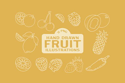 Fruit Icons fruit hand drawn icons illustrations