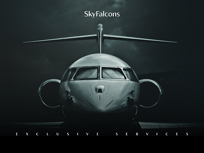 SkyFalcons | EXCLUSIVE SERVICES amman aviation branding business jet creativology embraer gulfstream jordan legacy 500 jet mohdnourshahen private jet skyfalcons