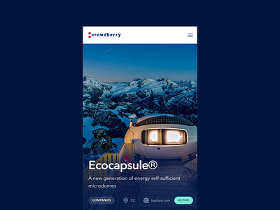Crowdberry — real estate animation real estate ui ui animation web webdesign website