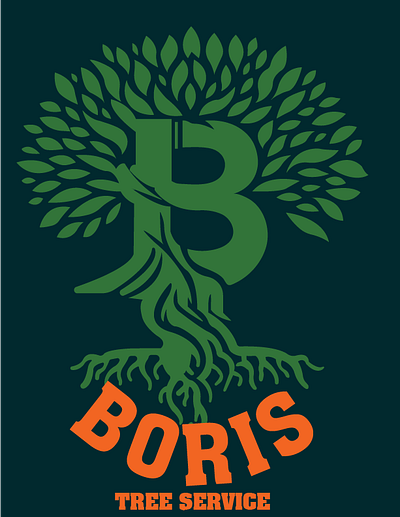 BORIS logo