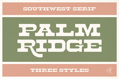 Palm Ridge Midcentury Southwest Font Design branding design font headline font sans serif typeface