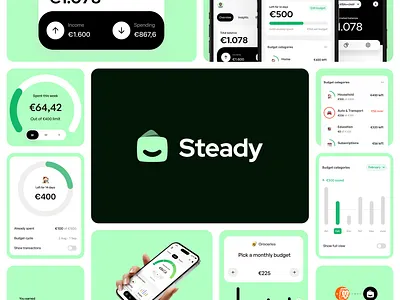 Steady Finance clean dashboard design finance fintech green mobile money product design ui ux