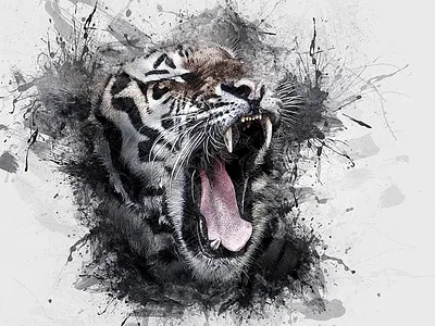 Graphic Design graphic design motion graphics