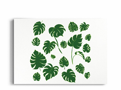 Green Monstera Tropical Leaves drawing exotic fresh green jungle leaf leaves monstera nature summer tropical