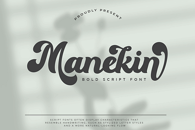 Manekin - Beauty Bold Script Font new font