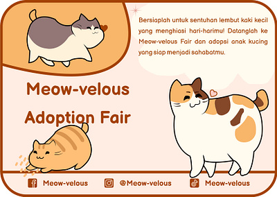 Meow-Velous Design branding graphic design logo