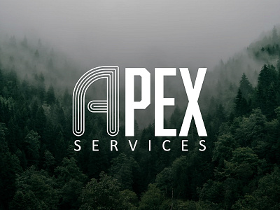 Apex Services Logo branding graphic design logo motion graphics ui